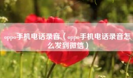 oppo手机电话录音（oppo手机电话录音怎么发到微信）