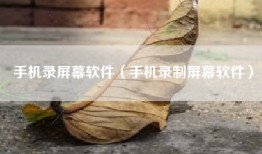 手机录屏幕软件（手机录制屏幕软件）