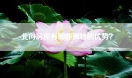 北向房屋有哪些独特的优势？