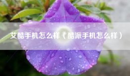 艾酷手机怎么样（酷派手机怎么样）