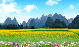 房地产公证上的卖房风险