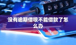 没有逾期借呗不能借款了怎么办