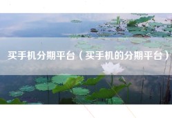 买手机分期平台（买手机的分期平台）