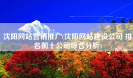 沈阳网站营销推广(沈阳网站建设公司 排名前十公司综合分析)