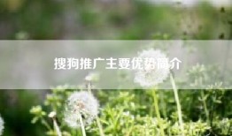 搜狗推广主要优势简介