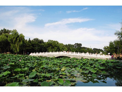 呼吸有爱·共筑肺康——株洲市人民医院“中医药文化健康夜市”第十九期来啦！