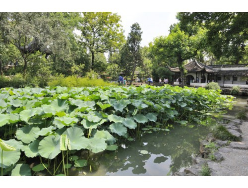 中考励志范本汇总