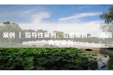 案例 ｜ 指导性案例、公报案例、“两高”典型案例