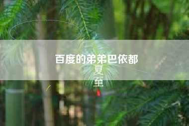 百度的弟弟巴依都
