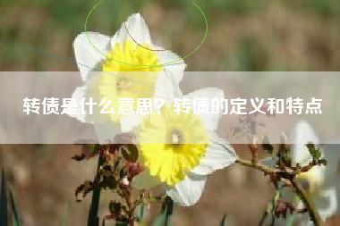 转债是什么意思？转债的定义和特点