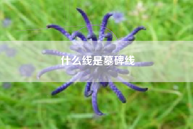 什么线是墓碑线
