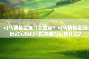 可转债基金是什么意思？可转债基金的投资策略和风险策略特征是什么？