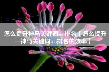 怎么提升神马关键词seo排名【怎么提升神马关键词seo排名的效率】
