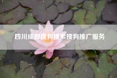四川成都搜狗搜索搜狗推广服务