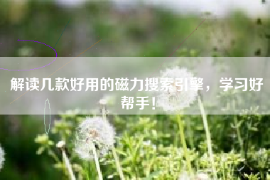 解读几款好用的磁力搜索引擎，学习好帮手！