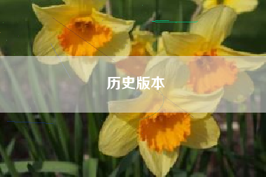 历史版本 历史版本