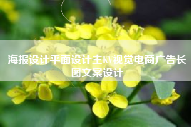 海报设计平面设计主KV视觉电商广告长图文案设计