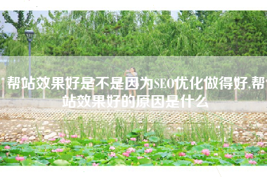 帮站效果好是不是因为SEO优化做得好,帮站效果好的原因是什么
