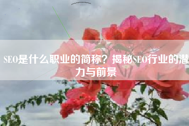 SEO是什么职业的简称？揭秘SEO行业的潜力与前景