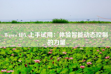Waves IDX 上手试用：体验智能动态控制的力量