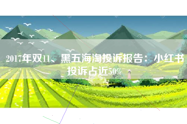 2017年双11、黑五海淘投诉报告：小红书投诉占近50%