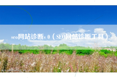 seo网站诊断s 0（SEO网站诊断工具）