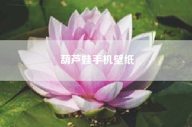 葫芦娃手机壁纸