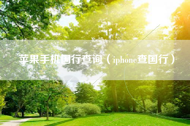 苹果手机国行查询（iphone查国行）