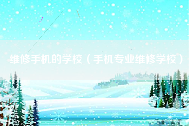 维修手机的学校（手机专业维修学校）
