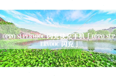 OPPO SUPERVOOC 闪充快充手机「OPPO SUPERVOOC 闪充」