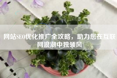 网站SEO优化推广全攻略，助力您在互联网浪潮中独领风