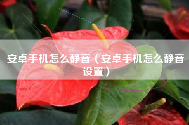 安卓手机怎么静音（安卓手机怎么静音设置）