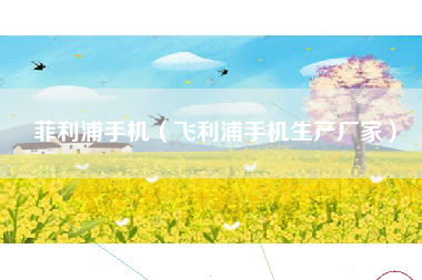 菲利浦手机（飞利浦手机生产厂家）