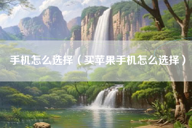 手机怎么选择（买苹果手机怎么选择）