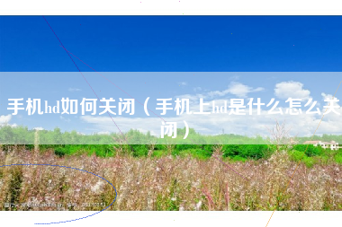 手机hd如何关闭（手机上hd是什么怎么关闭）