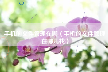 手机的文件管理在哪（手机的文件管理在哪儿找）