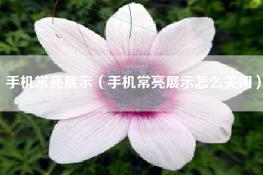 手机常亮展示（手机常亮展示怎么关闭）