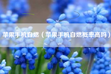 苹果手机自燃（苹果手机自燃概率高吗）