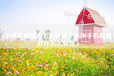 小米手机加密怎么解除（小米手机加密软件怎么解除）