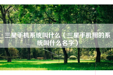 三星手机系统叫什么（三星手机用的系统叫什么名字）