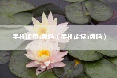 手机能接u盘吗（手机能读u盘吗）