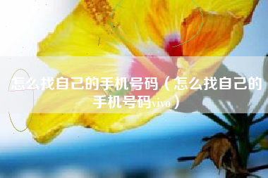 怎么找自己的手机号码（怎么找自己的手机号码vivo）