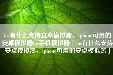 ios有什么支持安卓模拟器，iphone可用的安卓模拟器ios手机模拟器「ios有什么支持安卓模拟器，iphone可用的安卓模拟器」