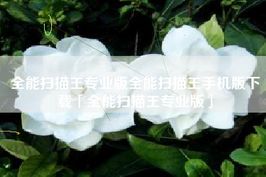 全能扫描王专业版全能扫描王手机版下载「全能扫描王专业版」