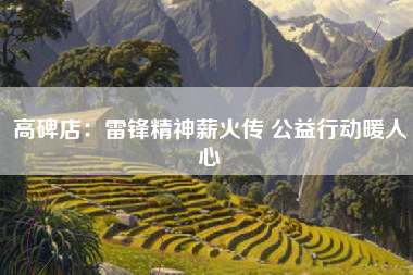 高碑店：雷锋精神薪火传 公益行动暖人心