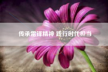 传承雷锋精神 践行时代担当