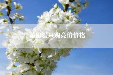 莆田爱采购竞价价格
